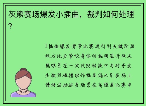 灰熊赛场爆发小插曲，裁判如何处理？