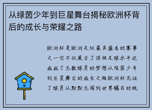 从绿茵少年到巨星舞台揭秘欧洲杯背后的成长与荣耀之路